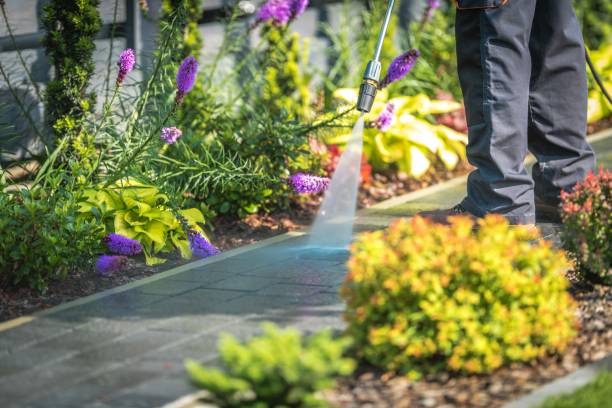 Best Winterizing Services  in North Miami Beach, FL